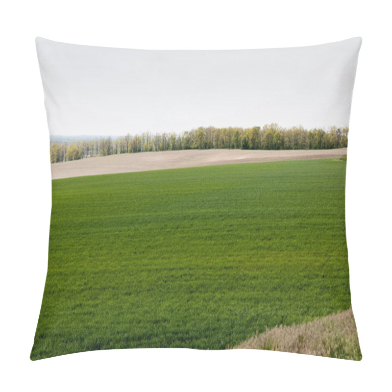 Personality  Fresh And Green Grassy Field Near Trees  Pillow Covers