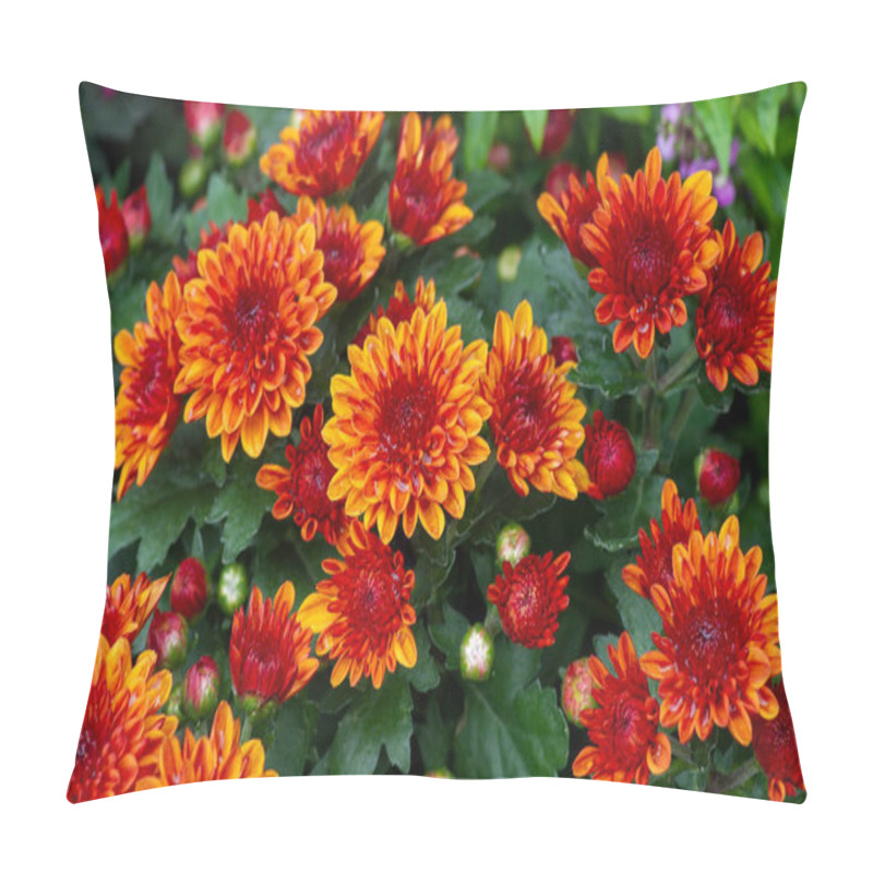 Personality  The Beauty Of Yellow-orange Chrysanthemums Flowers Pillow Covers