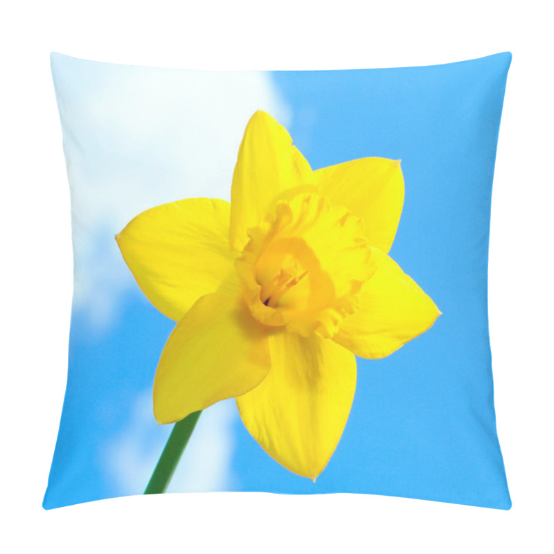 Personality  Yellow Daffodil Pillow Covers