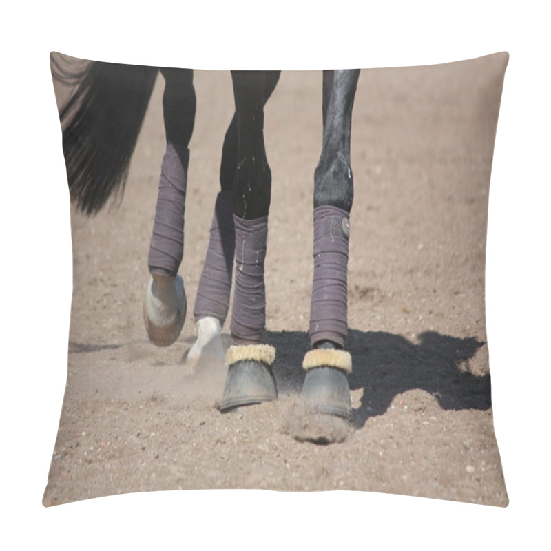 Personality  Black Horse Legs With Bandages And Hoof Boots Pillow Covers