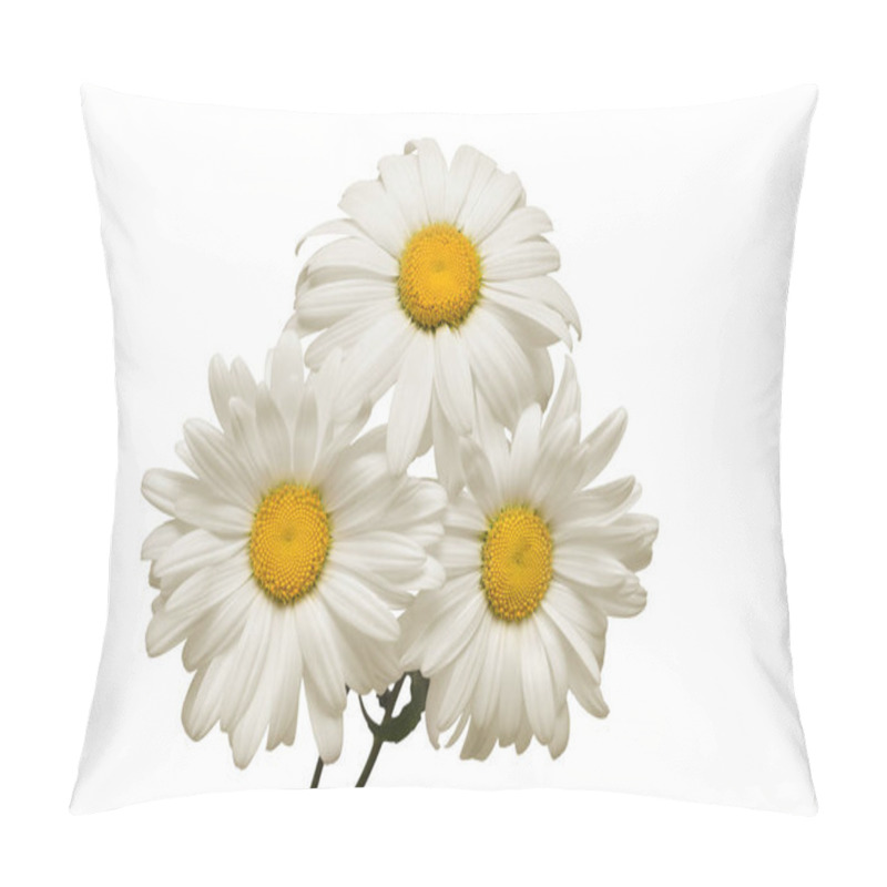 Personality  Bouquet White Daisy Flower Isolated On White Background. Flat Lay, Top View. Floral Pattern, Object Pillow Covers