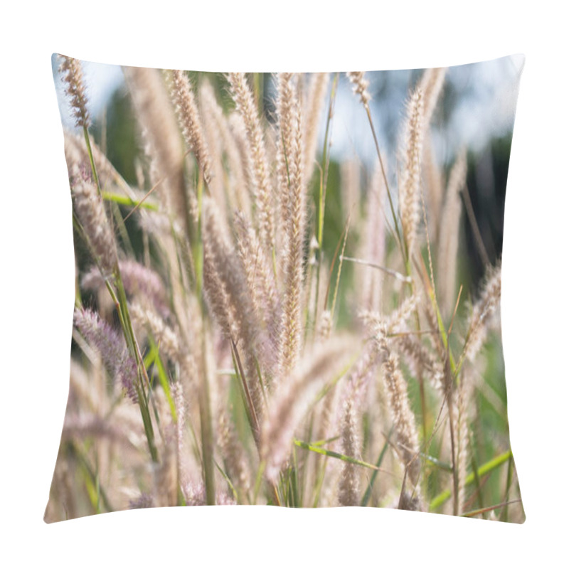 Personality  Swaying Grasses Dancing Nature Setting Close-up Photography Outdoor Scene Lush Green Background Serenity Concept Pillow Covers