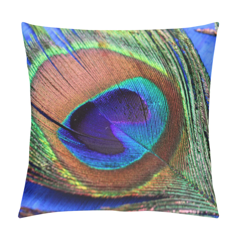 Personality  Peacock Feather Close Up Pillow Covers