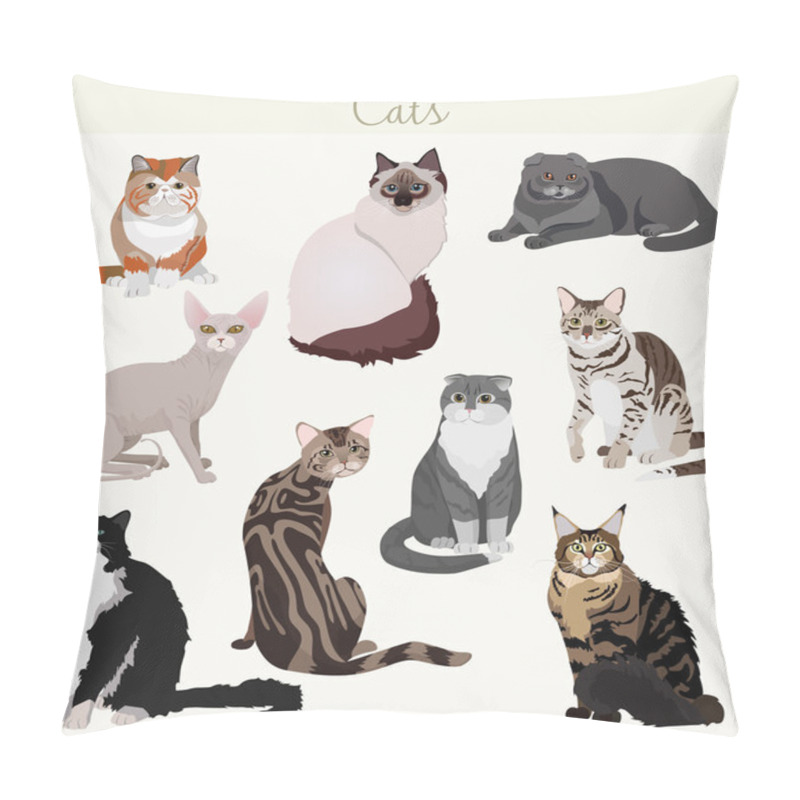 Personality  Vector Breed Cats In Different Poses. Cartoon Highly Detailed Pets. Pillow Covers