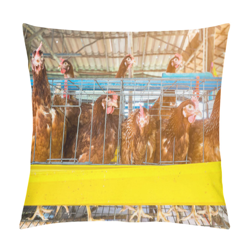 Personality  Laying Chicken Pillow Covers