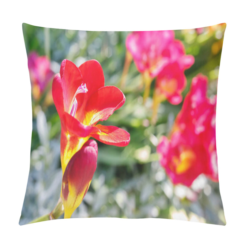 Personality  Red Flowers Of Freesia Close Up Pillow Covers