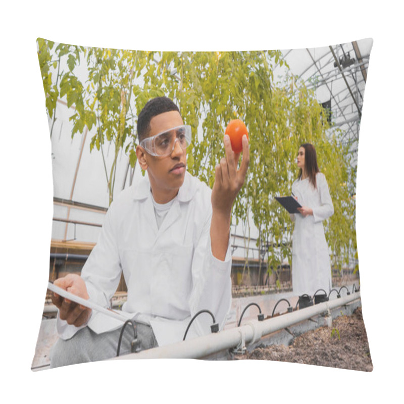 Personality  African American Botanist Holding Digital Tablet And Tomato Near Ground In Greenhouse  Pillow Covers