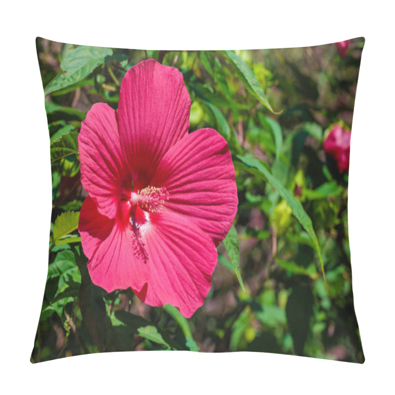 Personality  Red Hibiscus Moscheutos Flowers Blooming In Summer In The Garden. Pillow Covers