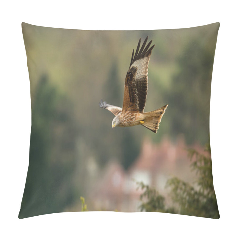 Personality  Close Up Of A Red Kite (Milvus Milvus) In Flight In Countryside, UK. Pillow Covers