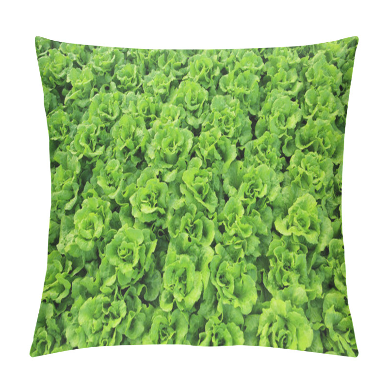 Personality  Green Lettuce Leaves Pillow Covers