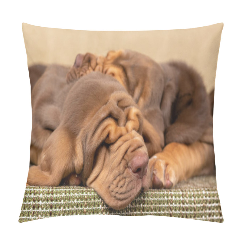 Personality  Two Brown Bloodhound Puppies Sleep Together Pillow Covers