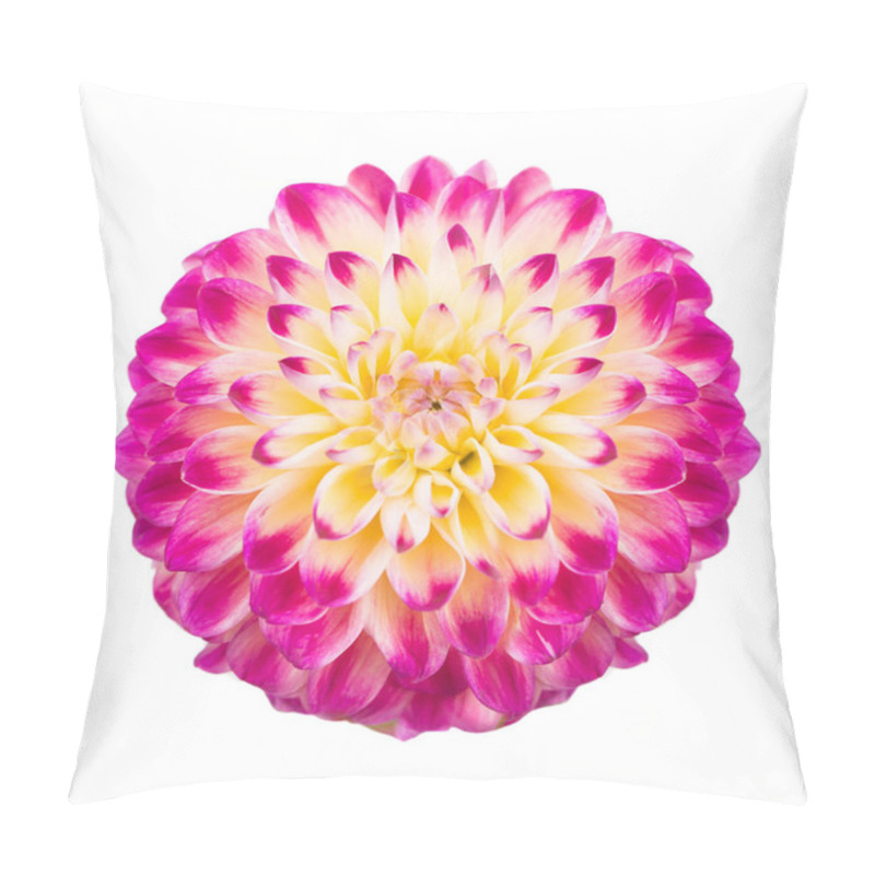 Personality  Deautiful Flower Dahlia Isolated On A White Background Pillow Covers