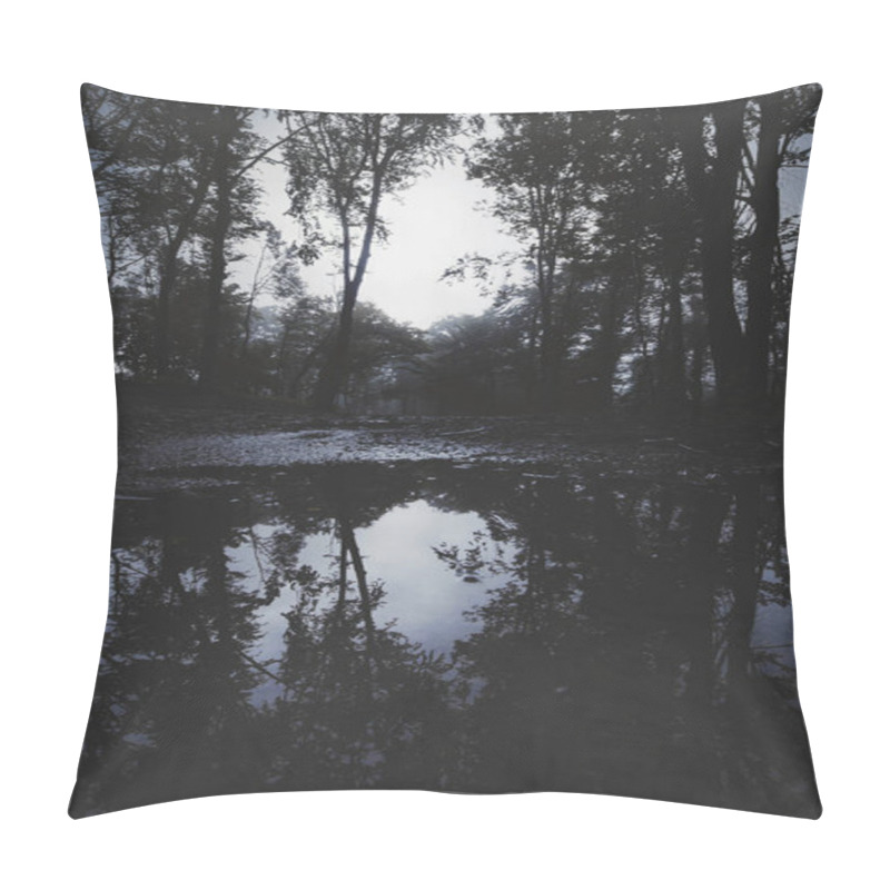 Personality  Dark Forest At Night With Trees Reflecting In Water Pillow Covers