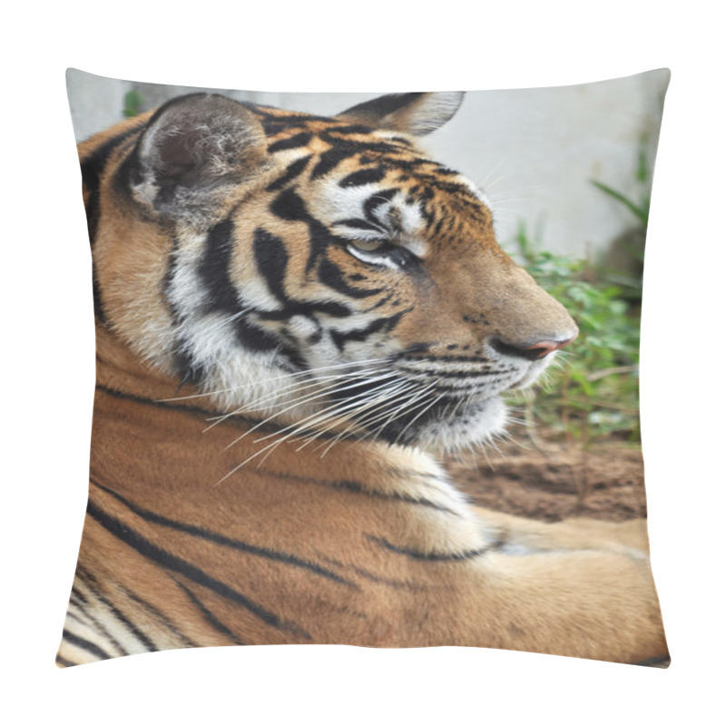 Personality  Bengal Tiger Pillow Covers