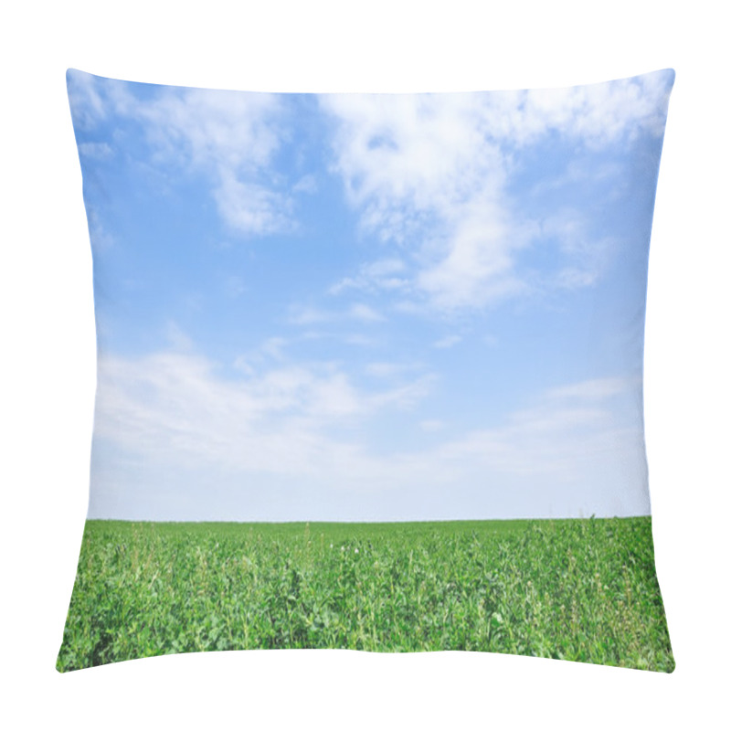 Personality  Landscape Pillow Covers