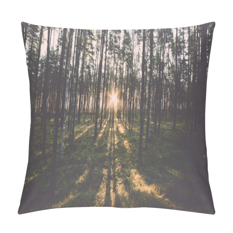 Personality  Old Forest With Moss Covered Trees And Rays Of Sun - Retro, Vint Pillow Covers