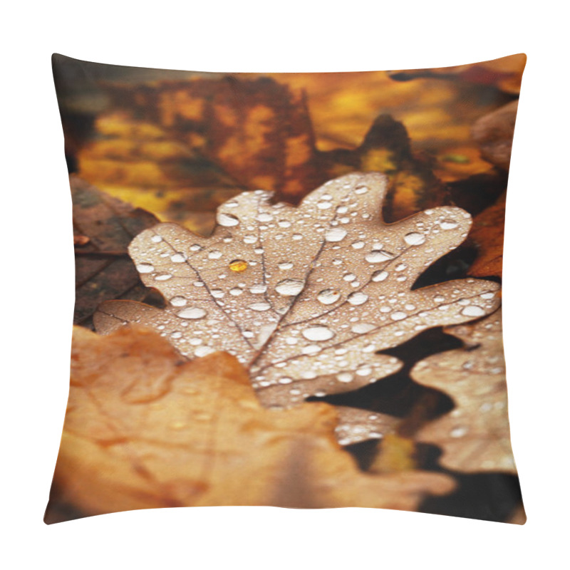 Personality  Fallen Leaves Covered With Raindrops Pillow Covers