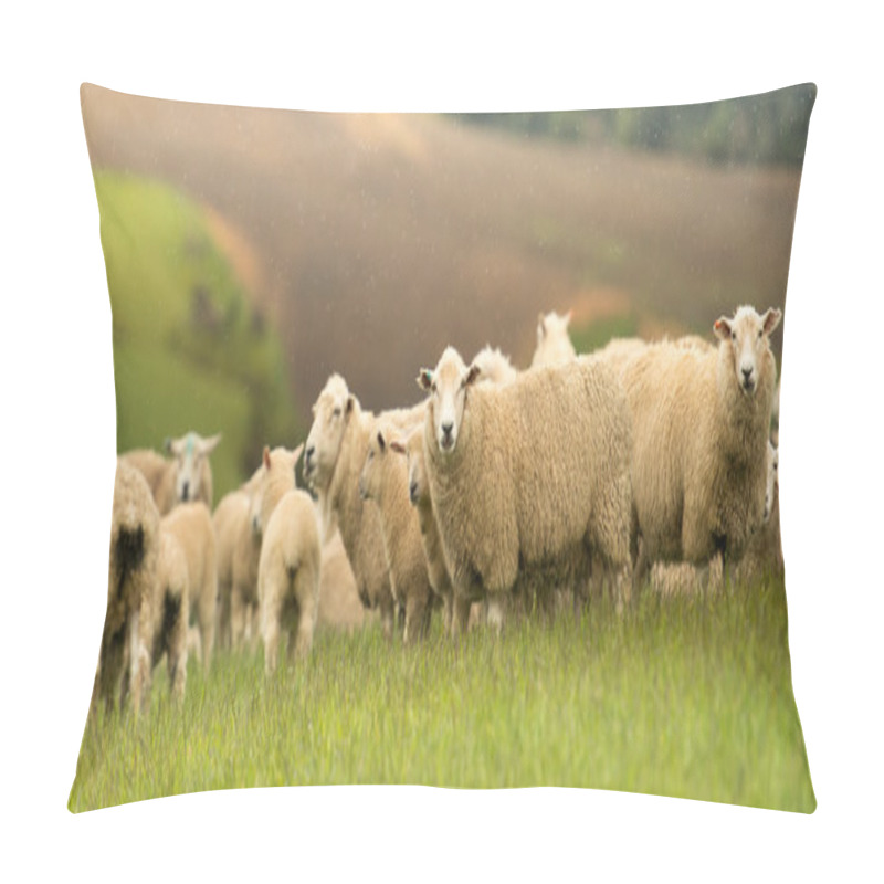 Personality  Landscape Of New Zealand Pillow Covers