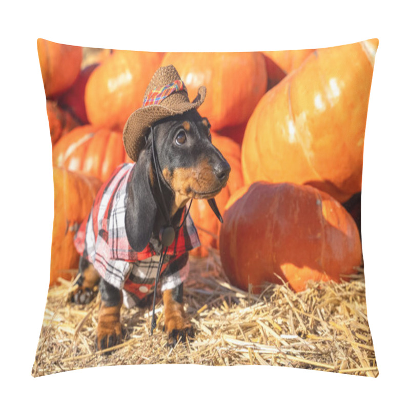 Personality  Funny Dachshund Puppy, Dressed In A Village Check Shirt And A Cowboy Hat, Standing Nearby A Heap A Pumpkin Harvest At The Fair In The Autumn. Dog Prepares For Halloween Pillow Covers