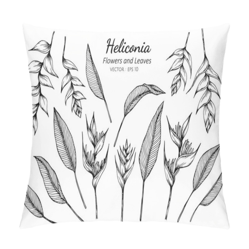 Personality  Collection Set Of Heliconia Flower And Leaves Drawing. Pillow Covers