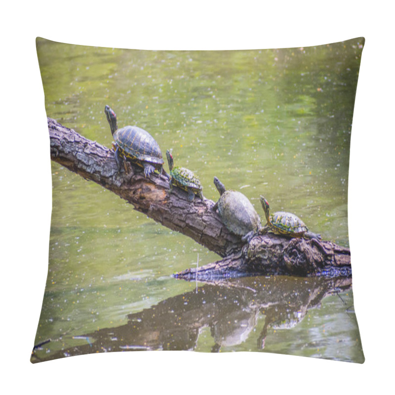 Personality  A Red-Eared Slider In The Pond Of Frontera Audubon Society, Texas Pillow Covers