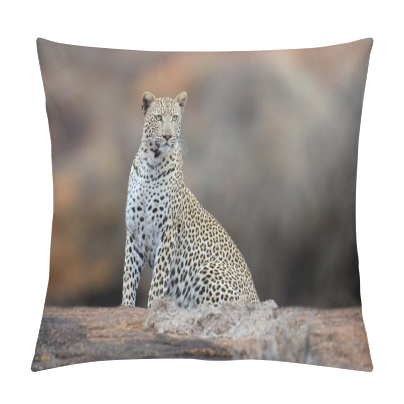 Personality  African Leopard, National Park Of Kenya Pillow Covers