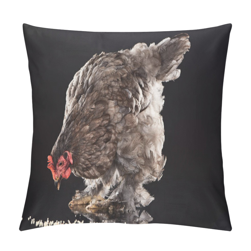 Personality  Brown Chicken Eating Millet Grain On Black Pillow Covers