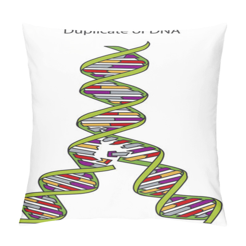 Personality  DNA Replication Pillow Covers