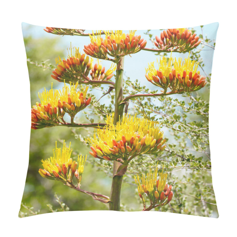 Personality  A Large Agave Flower Stalk In Mid Bloom. Pillow Covers