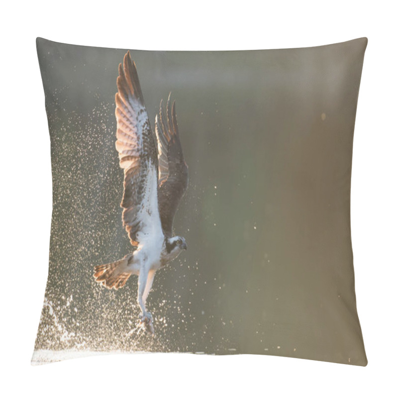 Personality  Beautiful Osprey Hunting Over Lake Pillow Covers