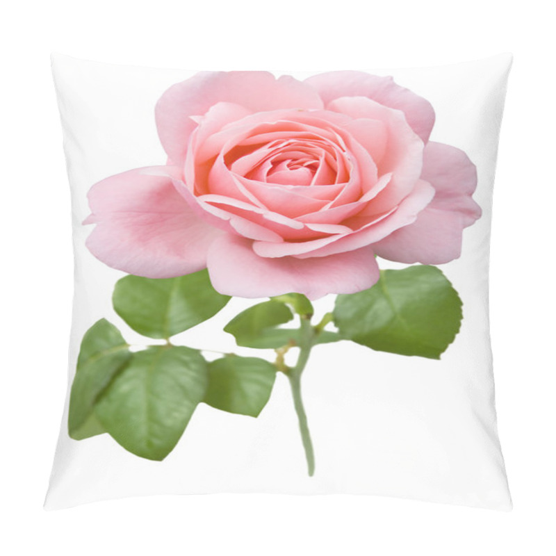 Personality  Pink Rose Isolated On White Background Pillow Covers