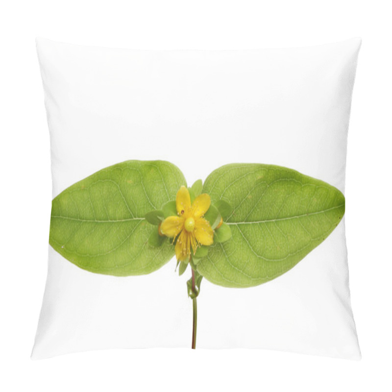 Personality  Tutsan Flower And Foliage Pillow Covers