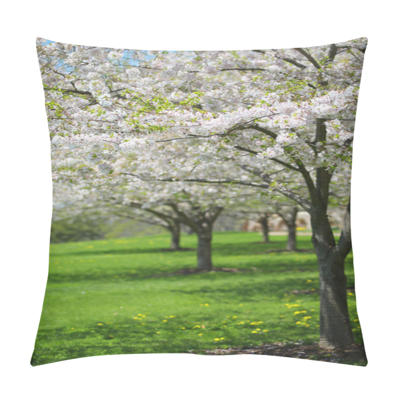 Personality  Tree With White Spring Blossoms Of Cherry In The Garden. Sunny D Pillow Covers