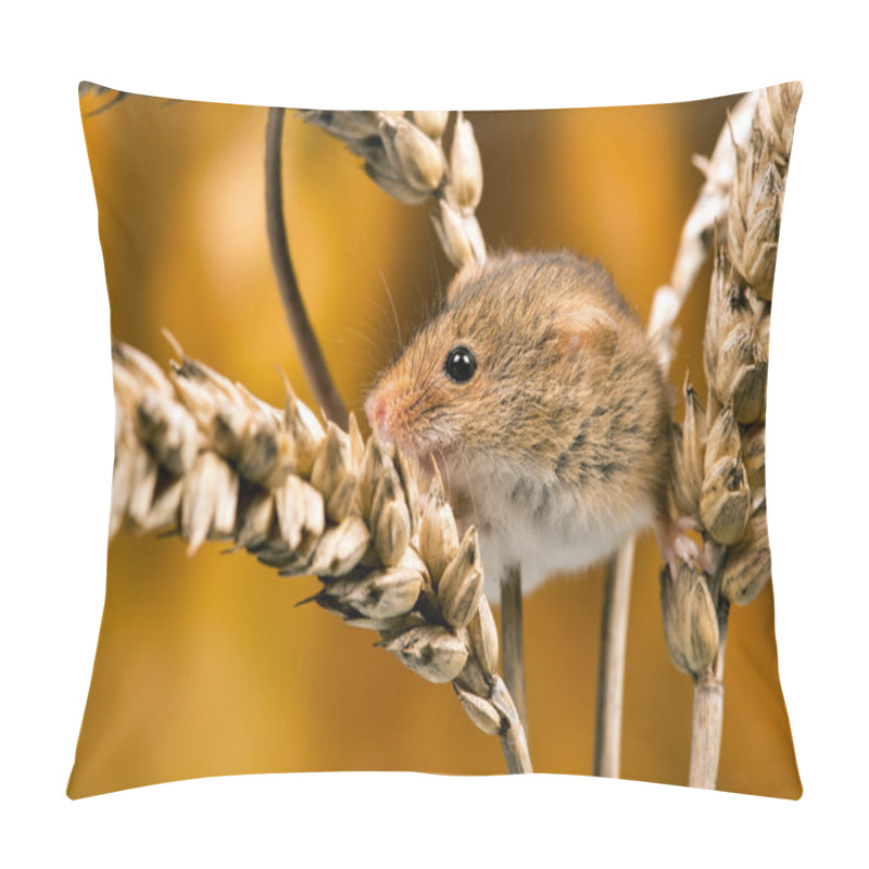 Personality  Field Mouse (apodemus Sylvaticus) Pillow Covers