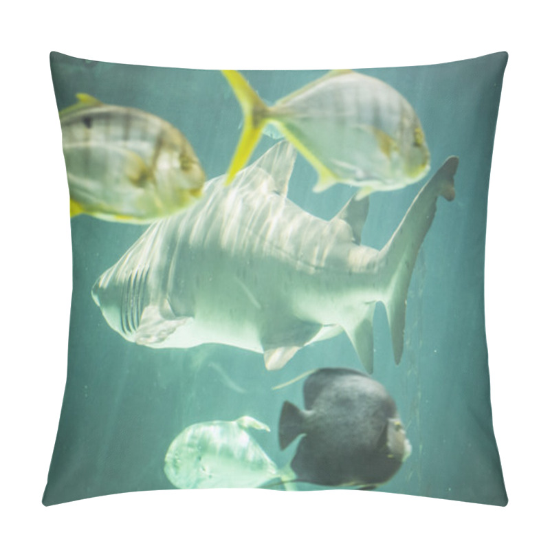 Personality  Dangerous And Huge Shark Pillow Covers