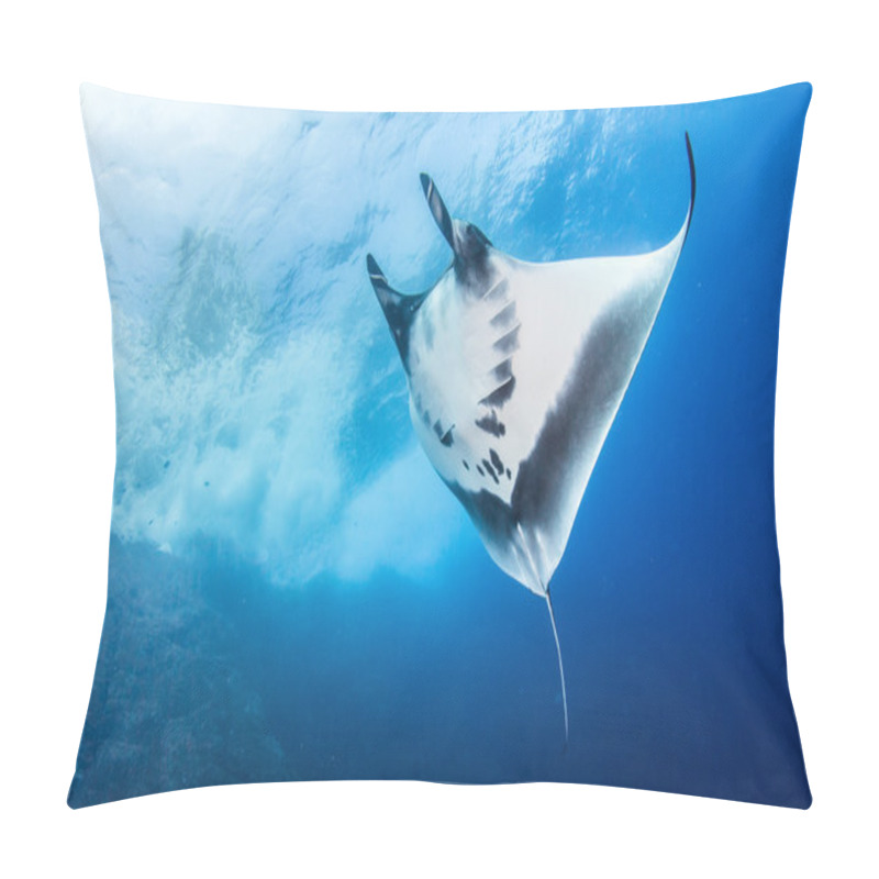 Personality  Manta Ray At Isla Revillagigedos, Mexico Pillow Covers