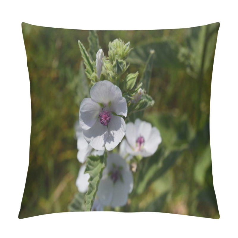 Personality  Wild Mallow Bloom In The Meadow Pillow Covers