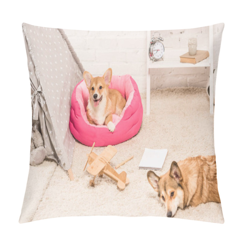 Personality  Adorable Welsh Corgi Dogs Resting In Soft Pet House And On Fluffy Rug At Home Pillow Covers