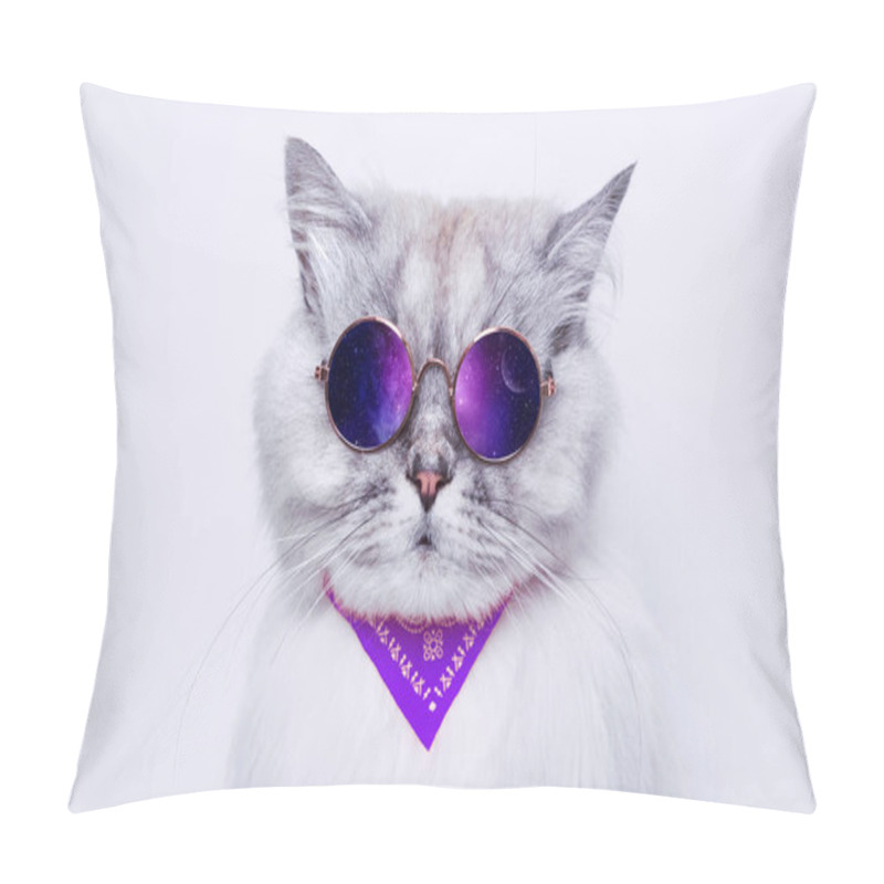 Personality  Portrait Of Funny Grey Cat In Sunglasses Reflecting Space. Copy Space Pillow Covers