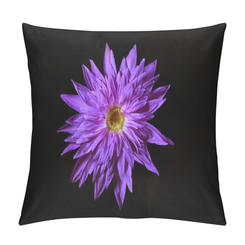 Personality  Beautiful Lotus Flower  Blooming On A Dark Background  Pillow Covers