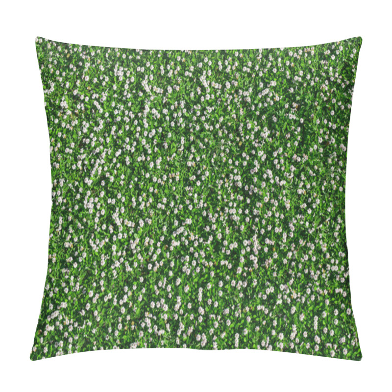 Personality  Many White Daisies In Top View Of Meadow. Pillow Covers