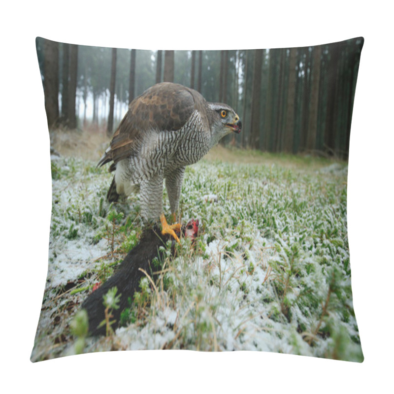 Personality  Bird Of Prey Goshawk Pillow Covers