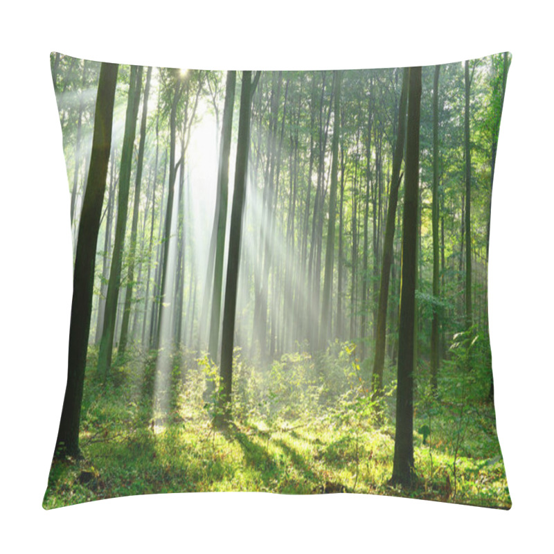 Personality  Beautiful Morning Sunbeams In Misty Forest Pillow Covers