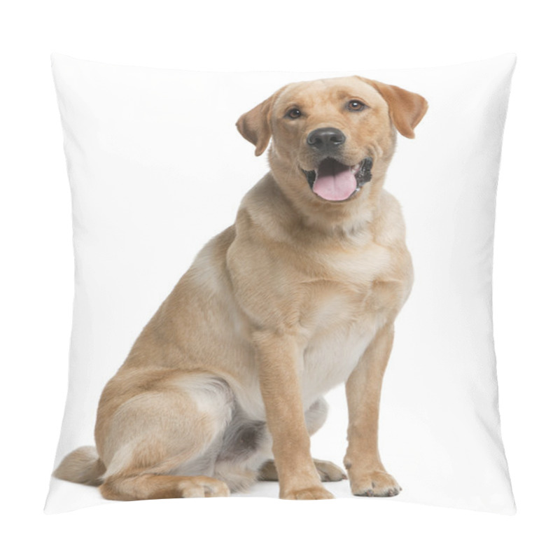 Personality  Labrador Retriever, 12 Months Old, Sitting In Front Of White Background Pillow Covers