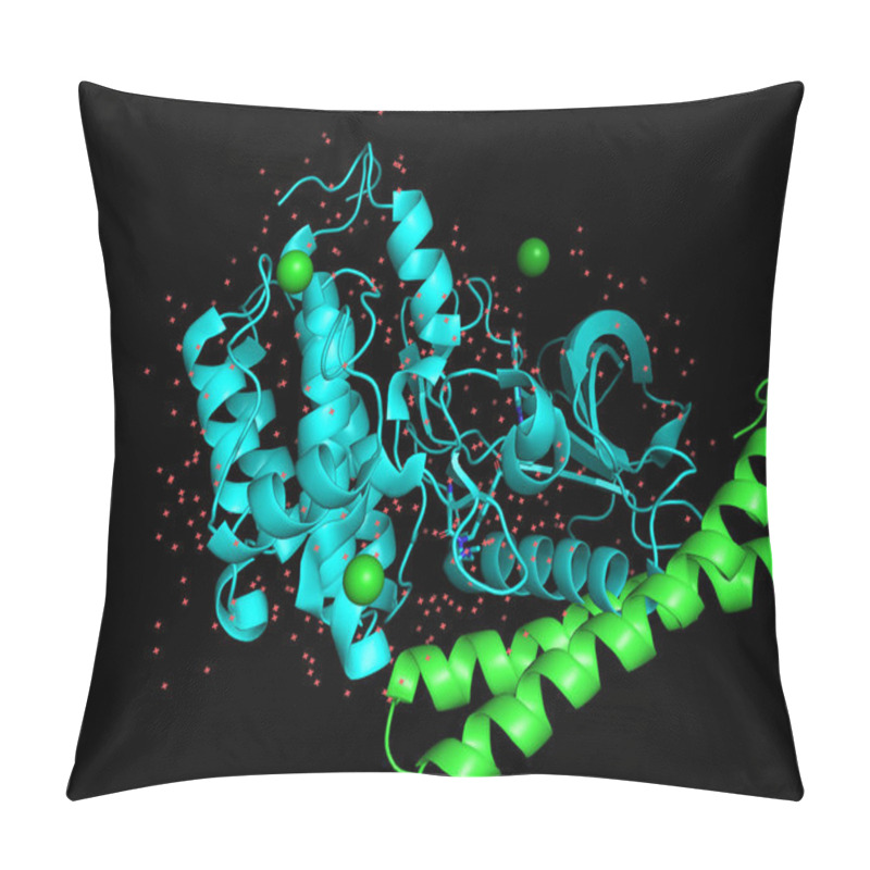 Personality  Three-dimensional Crystal Structure Of Protein Molecule, Tumor Growth Marker. 3D Model Of A Biopolymer Is A Peptide. Pillow Covers