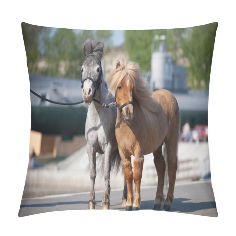 Personality  American Miniature Ponys In City Pillow Covers