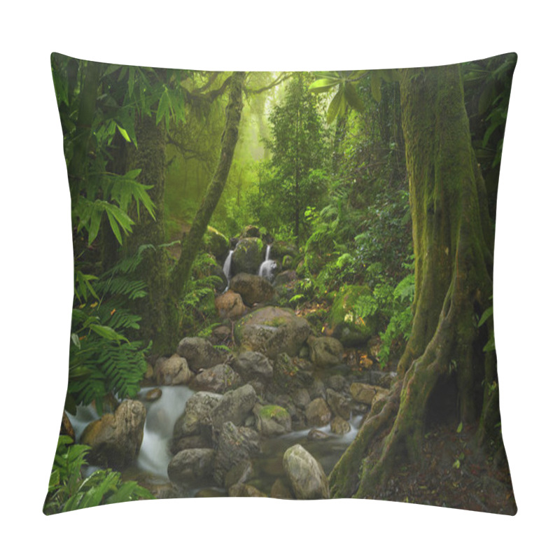 Personality  Tropical Rain Forest In Asia Pillow Covers