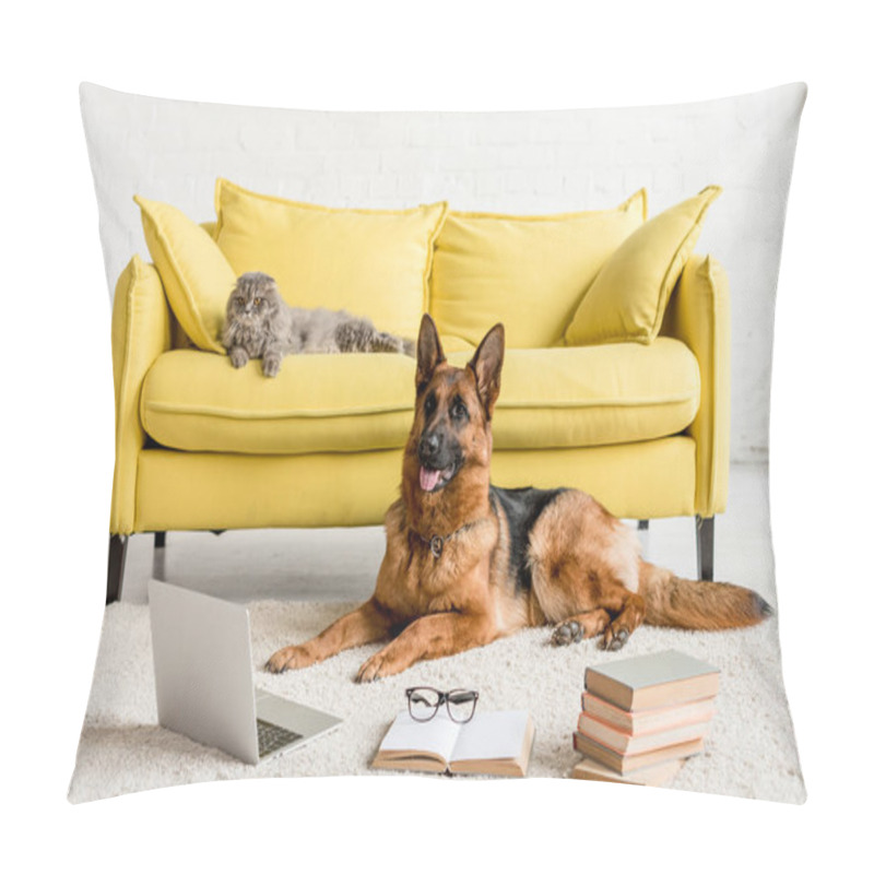 Personality  Cute German Shepherd Lying On Floor With Laptop And Books In And Grey Cat Lying On Couch Pillow Covers