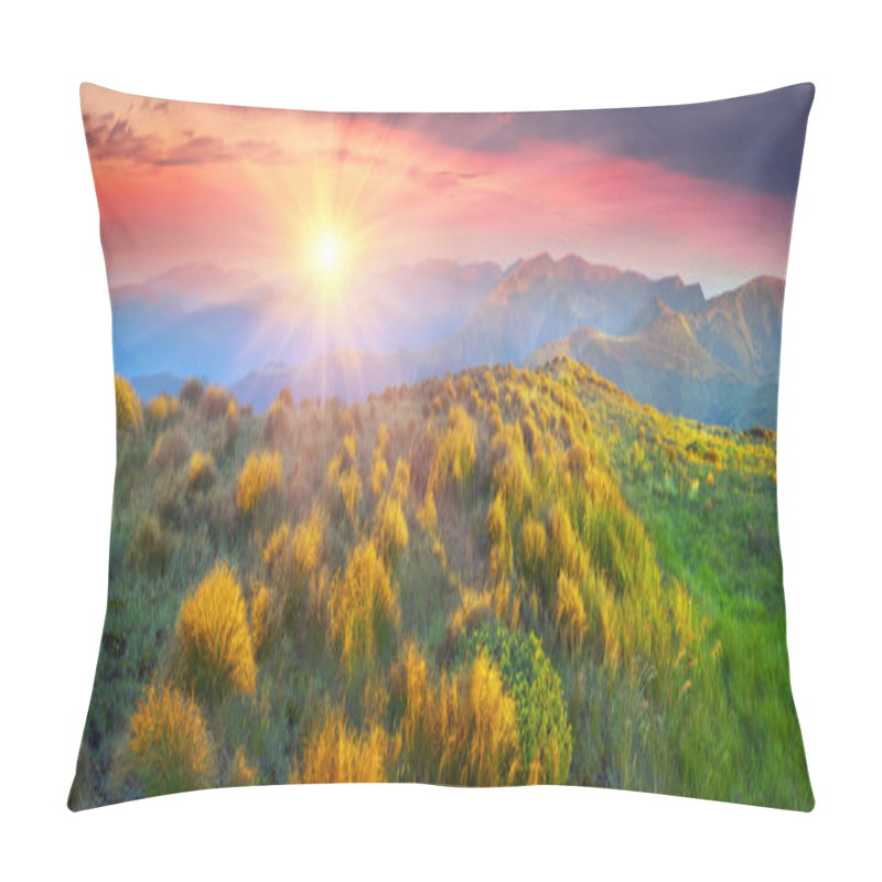 Personality  Ukrainian Carpathians Grass Pillow Covers