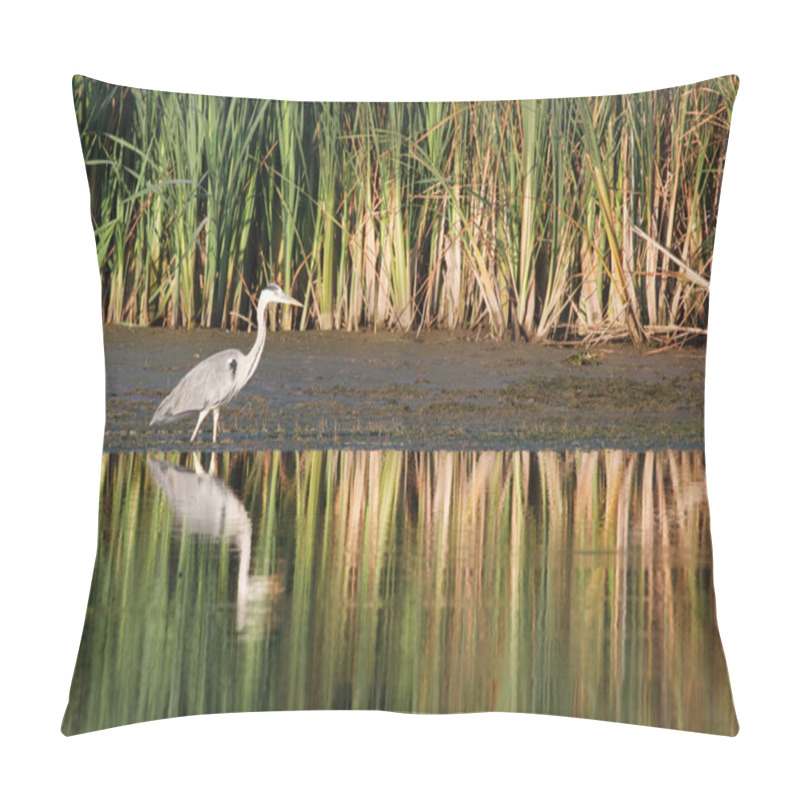 Personality  Gray Heron Pillow Covers